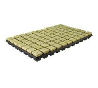 GRODAN - VASSOIO IN PLASTICA SBS CON 77 CUBETTI LANA DI ROCCIA PER GERMINAZIONE
