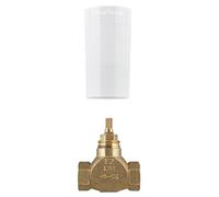 Grohe 29800000 Rubinetto per Incasso da 1/2 Pollici, Senza Maniglia, Cromo - NUO