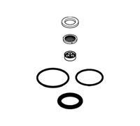 GROHE Set Di Ricambio 48185 Per Docce