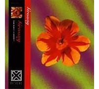 Groovy - Groovy/the Rebirth of Retro-Co