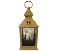 Groovy Harry Potter Lanterna Merch