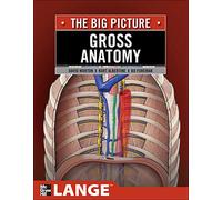 Gross anatomy: the big picture