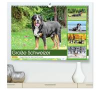 Große Schweizer - Gigantische Sennenhunde (hochwertiger Premium Wandkalender 2026 DIN A2 quer), Kunstdruck in Hochglanz: Die Riesen unter den Sennenhunden !