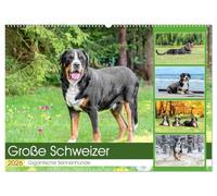 Große Schweizer - Gigantische Sennenhunde (Wandkalender 2026 DIN A2 quer), CALVENDO Monatskalender: Die Riesen unter den Sennenhunden !