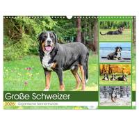 Große Schweizer - Gigantische Sennenhunde (Wandkalender 2026 DIN A3 quer), CALVENDO Monatskalender: Die Riesen unter den Sennenhunden !