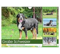 Große Schweizer - Gigantische Sennenhunde (Wandkalender 2026 DIN A4 quer), CALVENDO Monatskalender: Die Riesen unter den Sennenhunden !