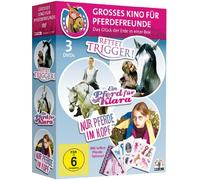 Grosses Kino für Pferdefreunde