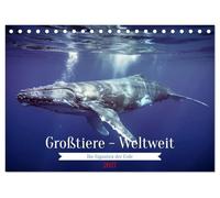 Großtiere - Weltweit (Tischkalender 2027 DIN A5 quer), CALVENDO Monatskalender: Dieser Kalender zeigt die beeindruckende Vielfalt der größten ... Riesen der Savanne und des Dschungels.
