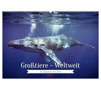 Großtiere - Weltweit (Wandkalender 2027 DIN A2 quer), CALVENDO Monatskalender: Dieser Kalender zeigt die beeindruckende Vielfalt der größten Tierarten ... Riesen der Savanne und des Dschungels.