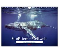 Großtiere - Weltweit (Wandkalender 2027 DIN A4 quer), CALVENDO Monatskalender