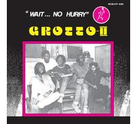 Grotto - Grotto Ii: Wait No Hurry