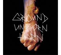 Ground Unicorn Horn Damn I Wish I Was Fat (Vinyl LP) 7" Single