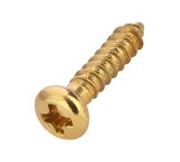 Grover Ricambi - Vite per legno per teste di macchina, oro