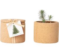 Grow Cork - Albero di Natale - 1 pz.