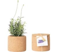 Grow Cork - Lavanda - 1 pz.