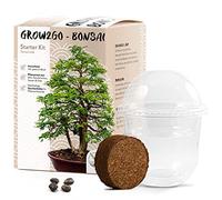 GROW2GO Bonsai Kit incl. eBook GRATUITO - Starter Set con mini serra, semi e terra - idea regalo sostenibile per gli amanti delle piante (Tamarindo)