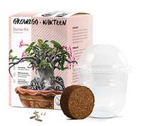 GROW2GO Cactus starter kit per la coltivazione - Set per la coltivazione di mini-serra, semi di cactus e terreno - idea regalo sostenibile per gli amanti delle piante (Adenium obesum)