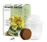 GROW2GO Cactus starter kit per la coltivazione - Set per la coltivazione di mini-serra, semi di cactus e terreno - idea regalo sostenibile per gli amanti delle piante (Faucaria Tigrina)