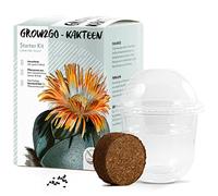 GROW2GO Cactus starter kit per la coltivazione - Set per la coltivazione di mini-serra, semi di cactus e terreno - idea regalo sostenibile per gli amanti delle piante (Pleiospilos Nelii)