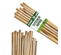GROWMANIA.ES Control Garden Pack 30 pezzi tutor bambù biologico 90 cm | picchetto con canne naturali per il fissaggio di piante Ø 6 - 8 | Bacchette alberi, verdure, viti e piante