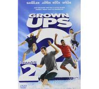 Grown Ups 2 (DVD)