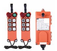 Gru Telecomandata F21-E1 6 pulsanti 315 Interruttori di comando a distanza for gru radiofonica industriale senza fili Paranco a ponte sopraelevato Controllo ascensore della(2T1R,22O)
