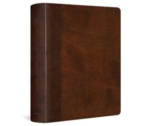 Grudem Mark Dever ESV Journaling Study Bible (Rilegato in ecopelle)