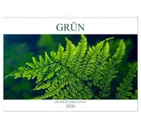 GRÜN . Die Kraft der Natur (Wandkalender 2026 DIN A3 quer), CALVENDO Monatskalender: Farben wirken auf Körper und Seele. GRÜN lässt uns tief durch atmen. Energie tanken !