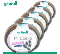 Gründl 5 x 100 G Mirabella Filato Gradiente Colore Lana Filo Maglia Uncinetto 12