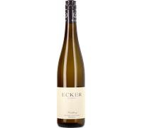 Grüner Veltliner Kirchberg DAC 2025 Bio - 0,75 L