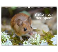 Grüsse von der Maus (Wandkalender 2027 DIN A3 quer), CALVENDO Monatskalender