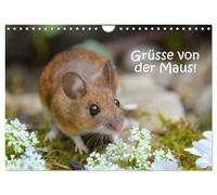 Grüsse von der Maus (Wandkalender 2027 DIN A4 quer), CALVENDO Monatskalender