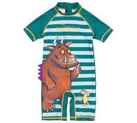 Gruffalo Il Costume da Surf Boys | Ragazze Bambini Topo Woodland Personaggi Striped Green Costume da Bagno | Gadget di Libri di Serie TV animate