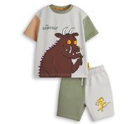 Gruffalo The Set di maglietta e pantaloncini per ragazzi | T-shirt grafica per bambini a maniche corte color block con pantaloni abbinati | Mouse Fairytale Julia Donaldson Book Apparel Outfit