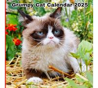 Grumpy cat calendar 2025