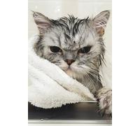 Grumpy Cat Journal: Hardcover, 6 x 9 Inches, 180 Pages, Blank Lined Notebook, Matte Finish. Animal and Cat Lovers, Cat Fan, Unique Cats, Cat Humor Journals