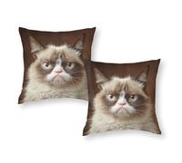 Grumpy Cat The Ultimate Mood Killer Cuscini per divani, cuscini per divano, auto, sala giochi, 20"x20"