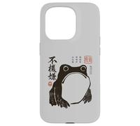 Grumpy Japanese Frog Funny Vintage Graphic Custodia per iPhone 15 Pro