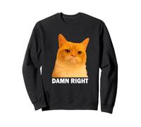 Grumpy Orange Cat Damn Right Meme Funny Weird Cat Face Meme Felpa