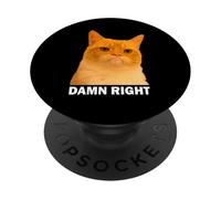 Grumpy Orange Cat Damn Right Meme Funny Weird Cat Face Meme PopSockets PopGrip Adesivo