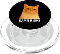 Grumpy Orange Cat Damn Right Meme Funny Weird Cat Face Meme PopSockets PopGrip per MagSafe