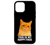Grumpy Orange Cat This is my Happy Face Funny Weird Cat Meme Custodia per iPhone 12 mini