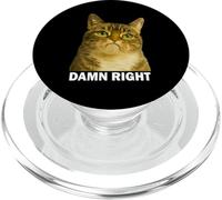 Grumpy Tabby Cat Damn Right Meme Funny Weird Cat Face Meme PopSockets PopGrip per MagSafe