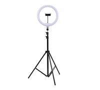 Grundig Ring Light Professional Con Treppiede Regolabile 195 cm - Luce LED Cerchio Per Video - Luce Selfie Con Supporto Telefono - Luce Foto TikTok - Luce Anello Per Selfie E Trucco Con 3 Impostazioni