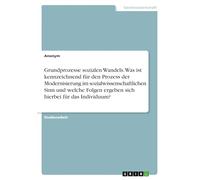 Grundprozesse sozialen Wandels. Was ist kennzeichnend für den Prozess der Modernisierung im sozialwissenschaftlichen Sinn und welche Folgen ergeben sich hierbei für das Individuum?