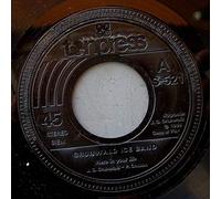 Grunwald Ice Band - Here In Your Life / Because I Want You To Stay