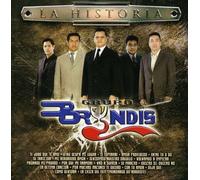 Grupo Bryndis - Historia
