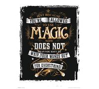 Grupo Erik Art Print 30X40 CM Harry Potter Magic, 30 x 40