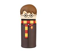 Grupo Erik Astuccio Harry Potter Gadget 3D - Astuccio Piccolo Portapennne in Silicone per la Scuola | Portapenne da Scrivania: Regali Divertenti 7x18 cm