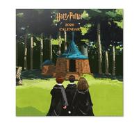 Grupo Erik Calendario di Harry Potter | Calendario 2026 da Muro Harry Potter Gadget - 30x30cm, Planner 2026 - Mensile da Parete